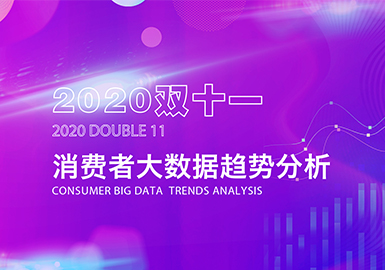 2020 Double 11 Consumer Big Data Trends Analysis