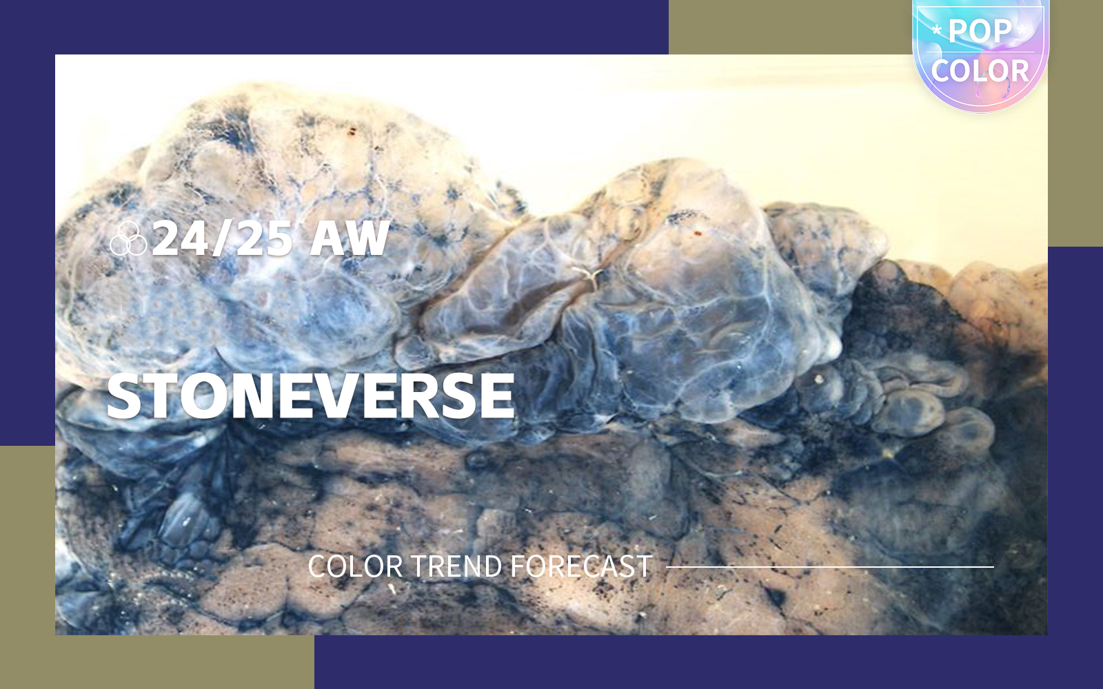 Stoneverse --The A/W 24/25 Color Trend Forecast