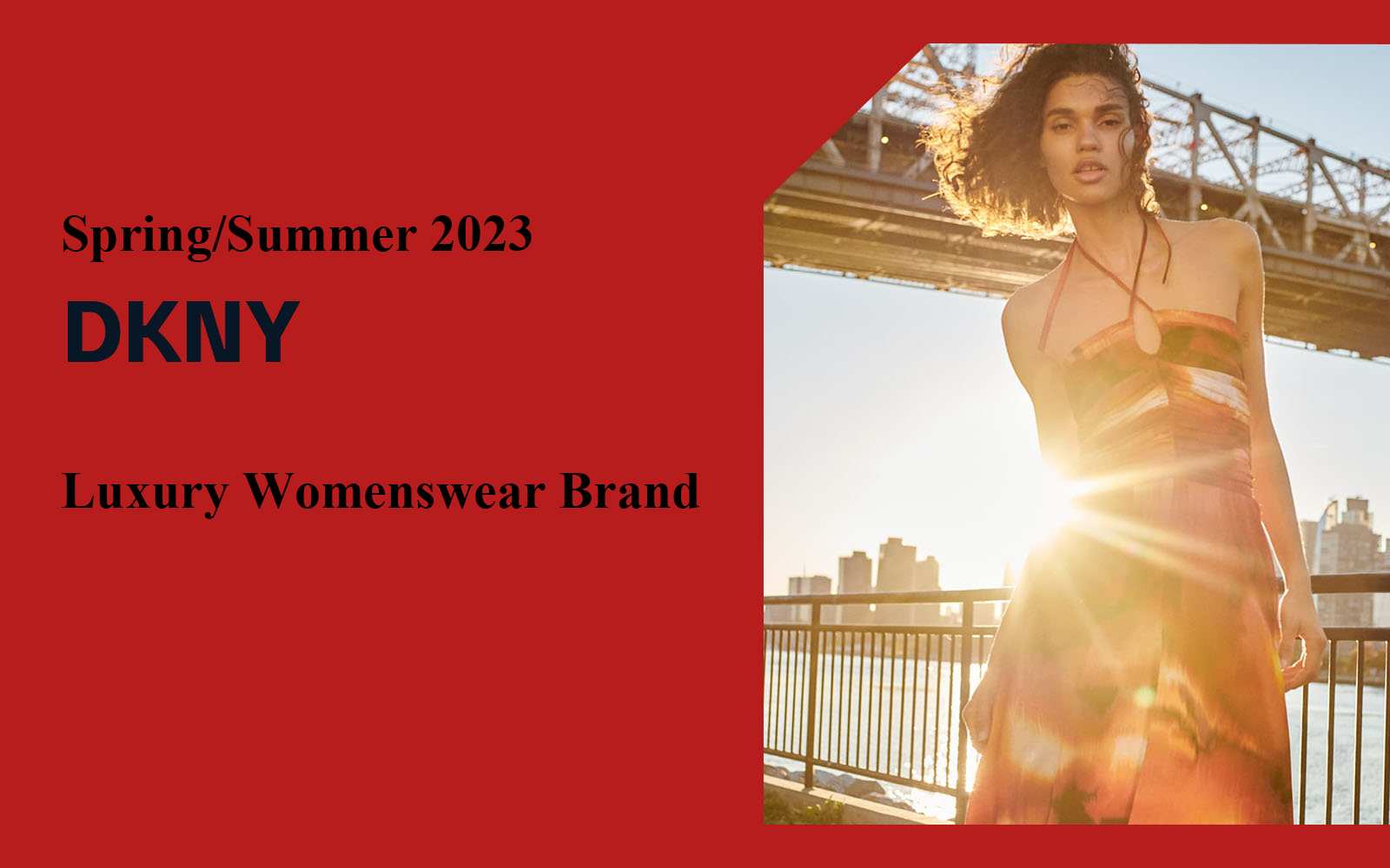 The Analysis of DKNY The Luxury Womenswear Brand