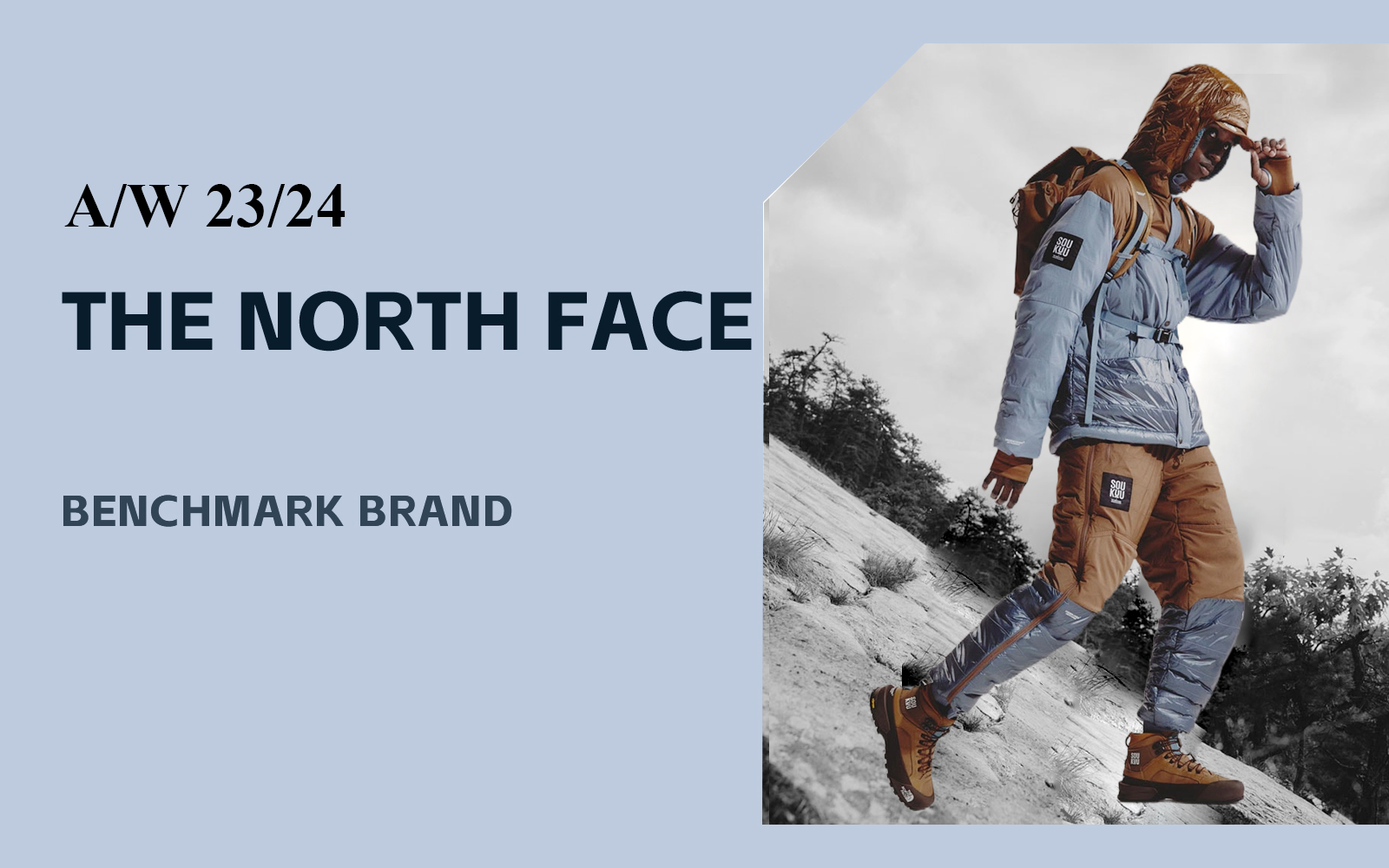 The Analysis of The North Face The Benchmark Outdoorwear Brand