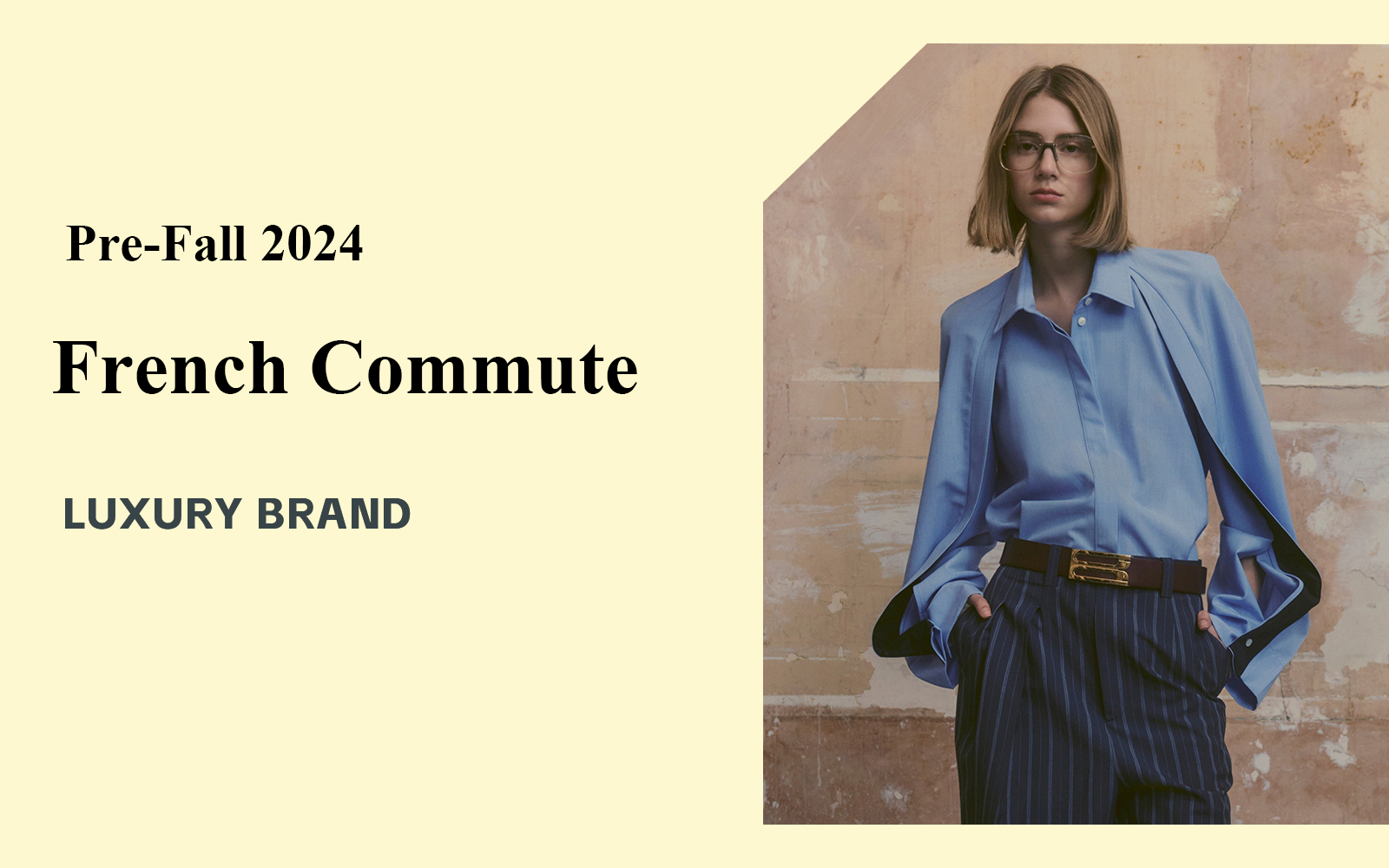 French Commute -- The Analysis of Luxury Brands