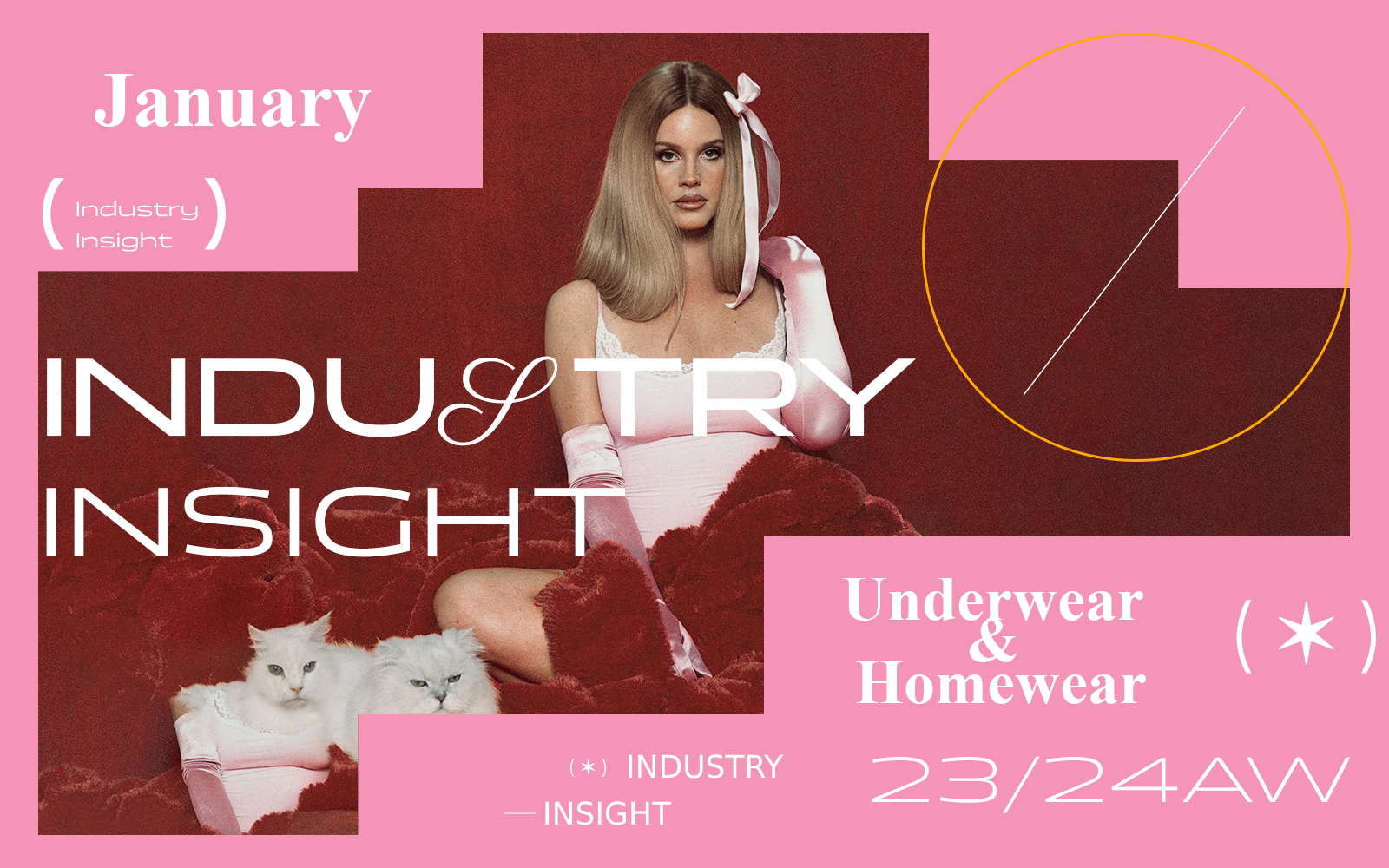 January 2024 -- The Industry Insight of Underwear & Homewear